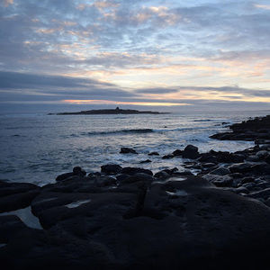 Meet your Posher, Maura